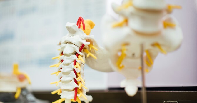 Physical Therapy